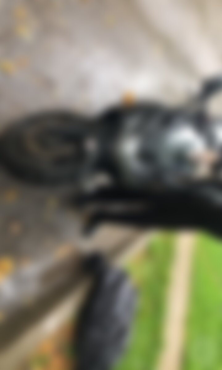 Suzuki GIXXER 250SF 2020 г