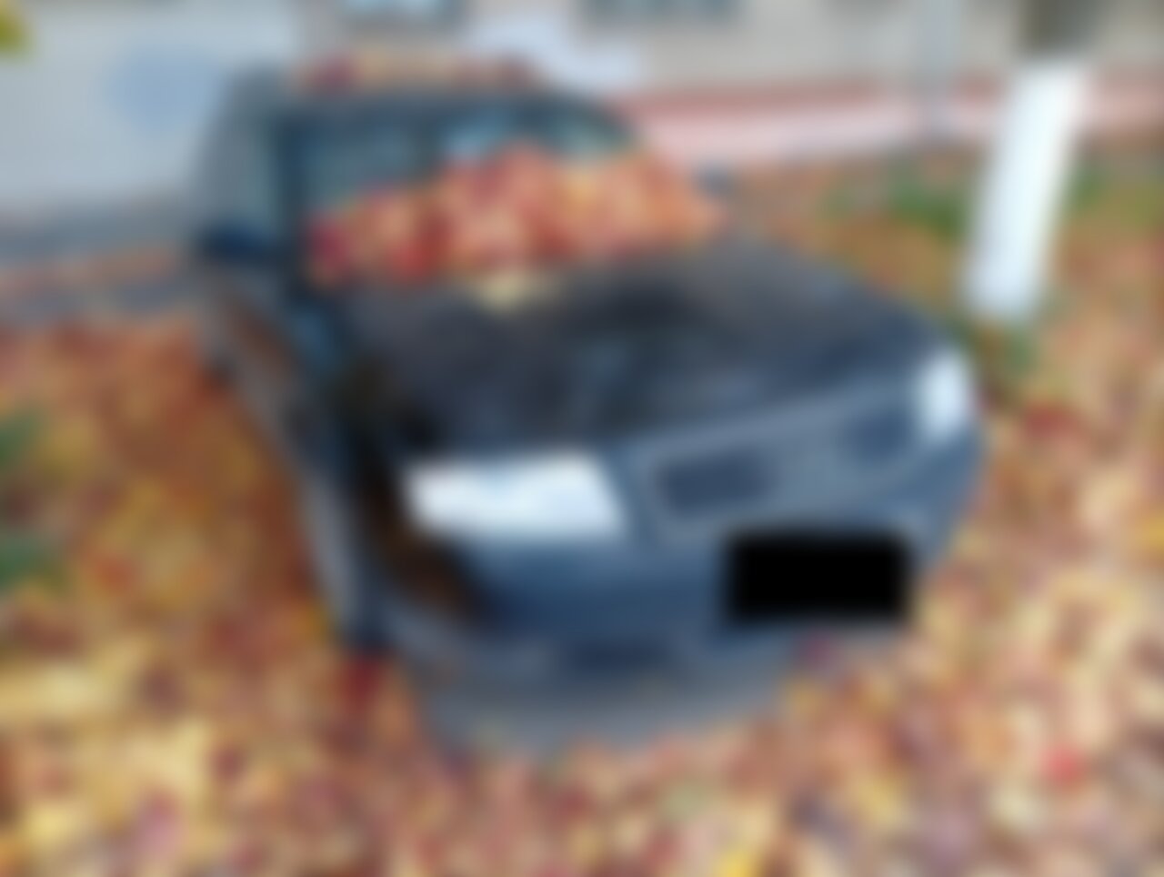 Audi A6 Avant 2001 г